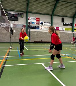 Succes voor Volleystars in Oeffelt!